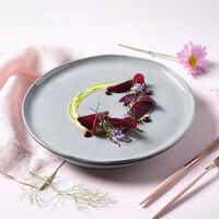 Bio Stoneware Dinner Plate