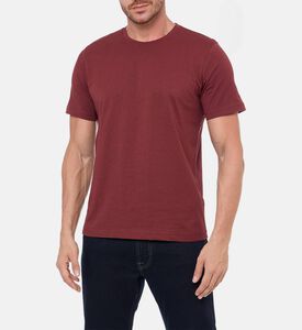 Pal Zileri Classic Crewneck T-shirt, Burgundy, 56, Model View Pal Zileri Classic Crewneck T-shirt, Burgundy, 56, Model View