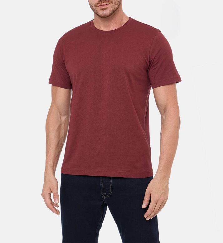 Pal Zileri Classic Crewneck T-shirt, Burgundy, 56, Model View Pal Zileri Classic Crewneck T-shirt, Burgundy, 56, Model View