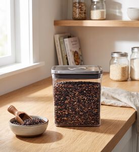 Oxo Pop Steel Lid Rectangular Container, Model View