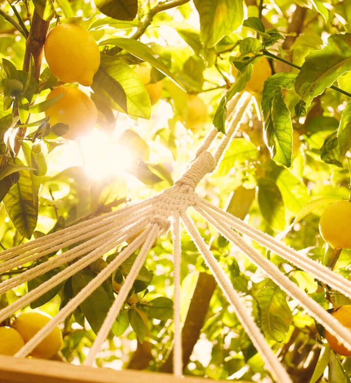 Replica Under The Lemon Tree Edt 100 Ml Replica Under The Lemon Tree Edt 100 Ml