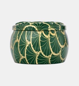 علبة جابونيكا نوبل فير غارلاند