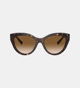 نظارة شمسية بعدسات متدرجة أسيتات 54