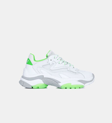 Addict Calf Leather Sneakers