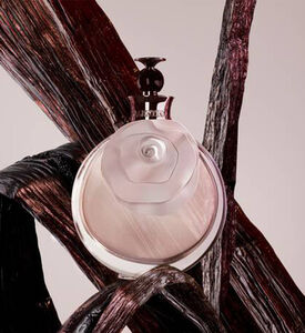 عطر La Nuit de LHomme