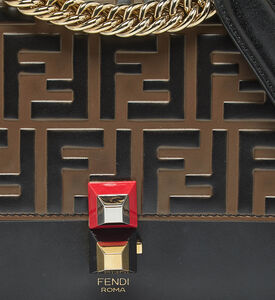 Fendi Preowned Fendi Black-brown Small Kan Shoulder Bag, Packshot View