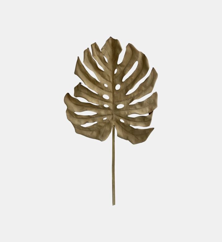 Dried-look Monstera Leaf Deco