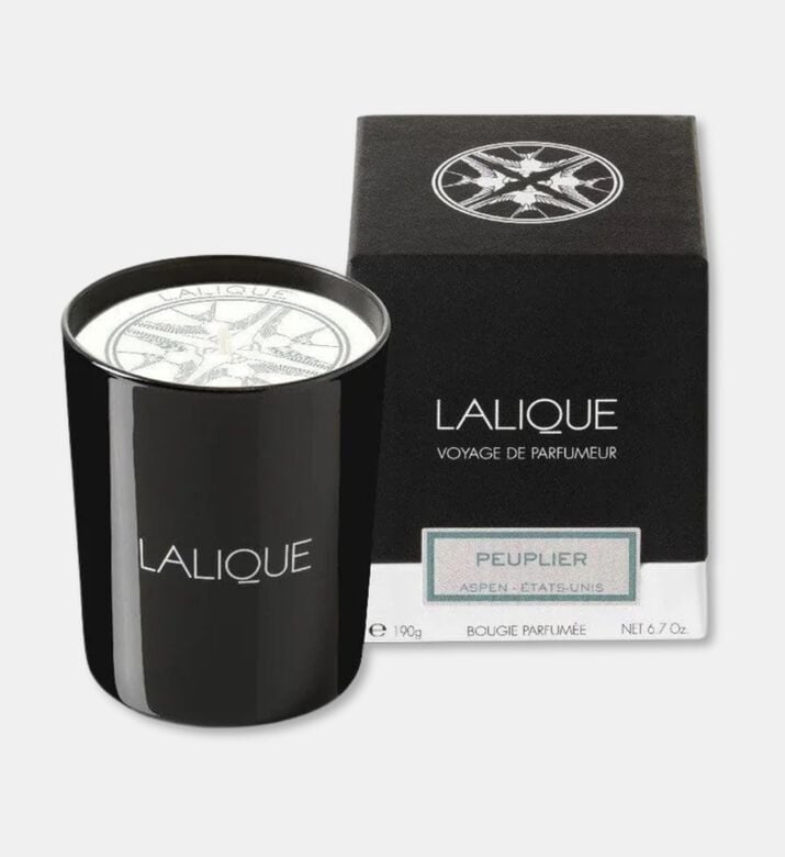 Lalique Candle 190g Peuplier, Packshot View
