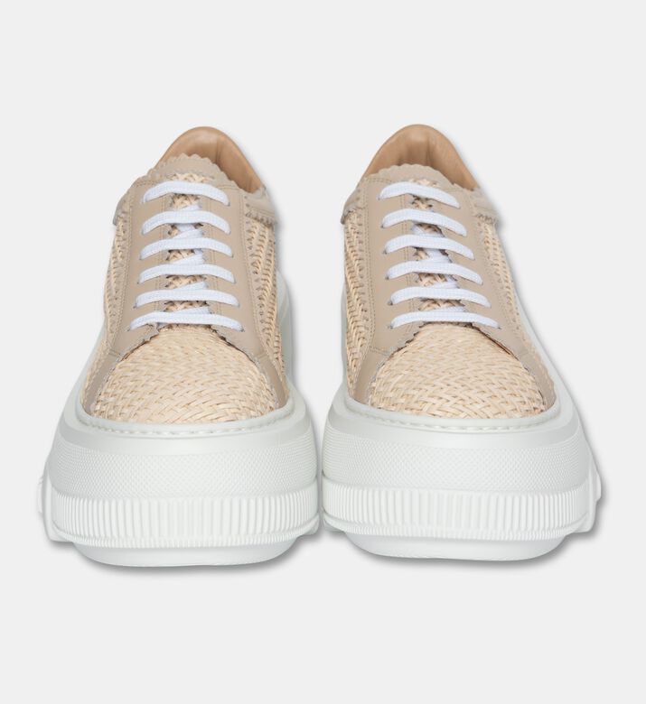 Casadei Shoes Sneaker, Packshot View