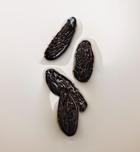 Kilian Paris Body Lot Angels' Share Refill, Packshot View