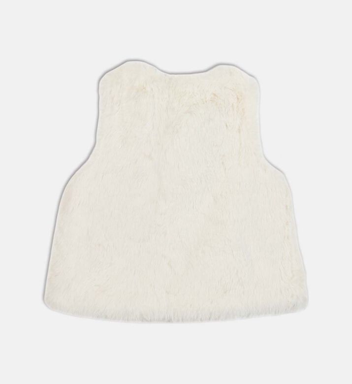 Faux Fur Sleeveless Vest