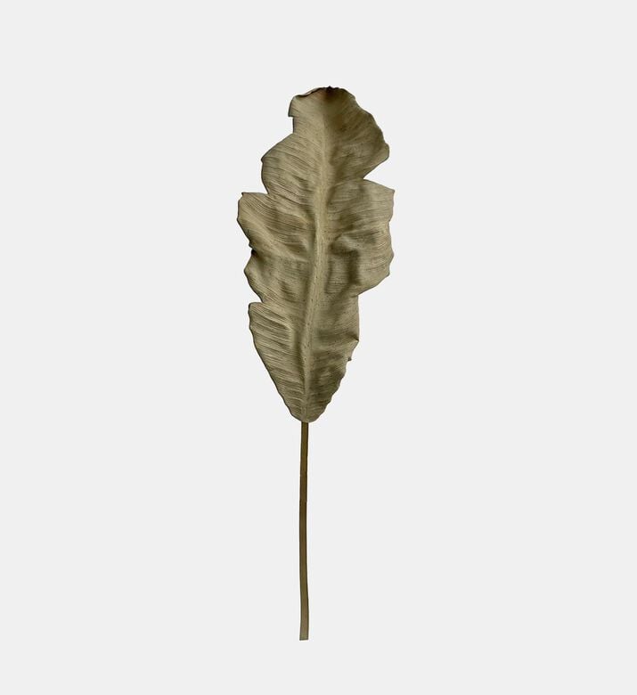 Dried-look Heliconia Leaf Deco Dried-look Heliconia Leaf Deco