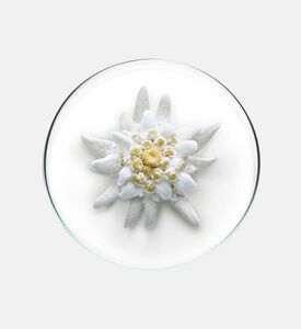 Uv Expert Aqua Gel Spf 50 50 Ml Uv Expert Aqua Gel Spf 50 50 Ml