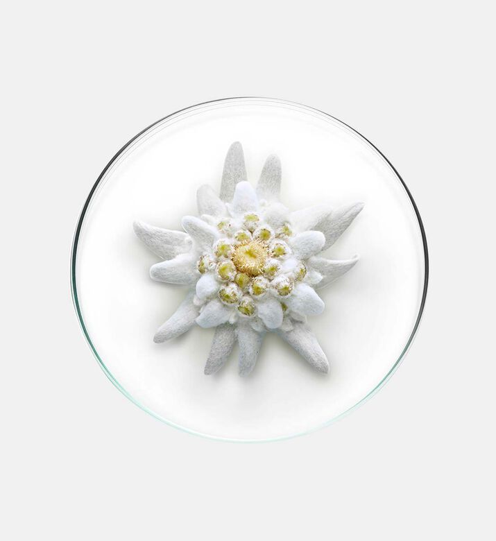 Uv Expert Aqua Gel Spf 50 50 Ml Uv Expert Aqua Gel Spf 50 50 Ml