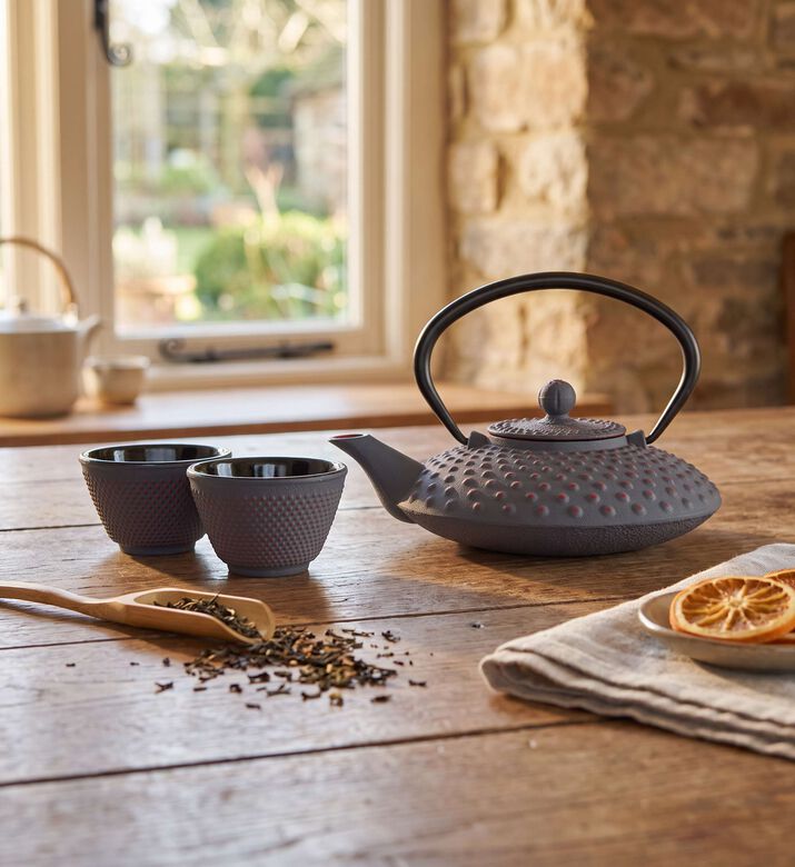 Wd Lifestyle Cast Iron Teapot Cup 4-piece Set, Model View
