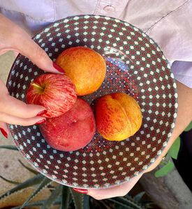 وعاء مستدير من كاليا ميلامين