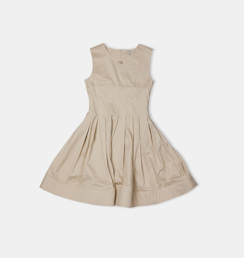 Pleated Detail Flared Dress