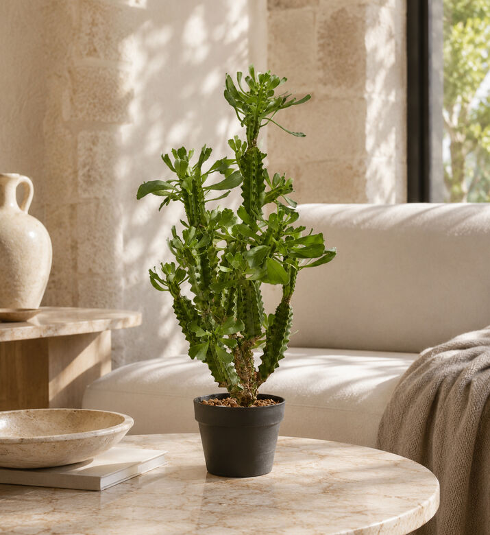 Edg Succulent West Cactus Pvc Pot - 89 Cm, Packshot View