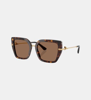 Acetate Tortoiseshell Cat-eye Sunglasses 53