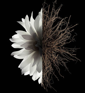 Givenchy Beauty L Interdit Roll-on Eau De Parfum, Packshot View