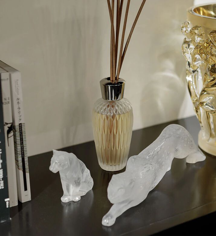 Lalique Diffuser 500ml Odyssee, Packshot View