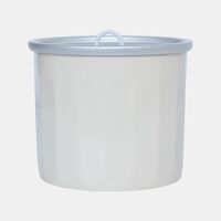 Multi-purpose Ice Cream Container