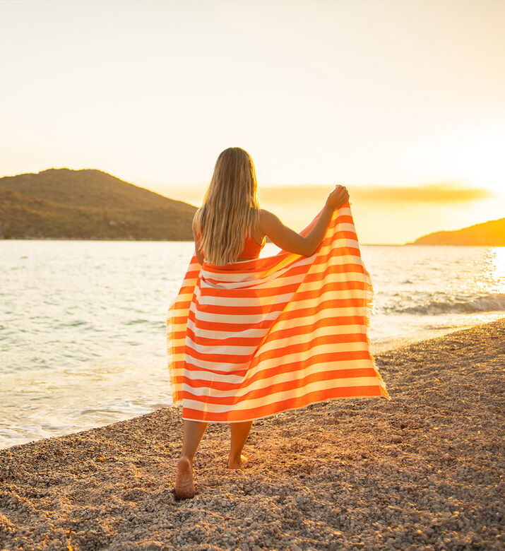 Delmor Stripped Beach Towel