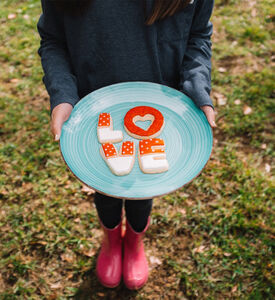 Multi-shaped Cookie Cutter Set