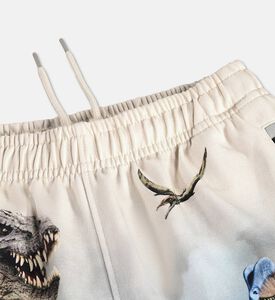 Molo Amil Dinosaur Landscape Shorts, Packshot View
