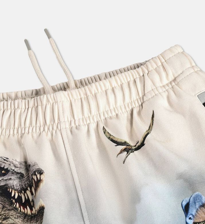 Molo Amil Dinosaur Landscape Shorts, Packshot View