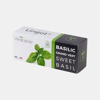 Sweet Basil Organic Essential Aromatic Herbs