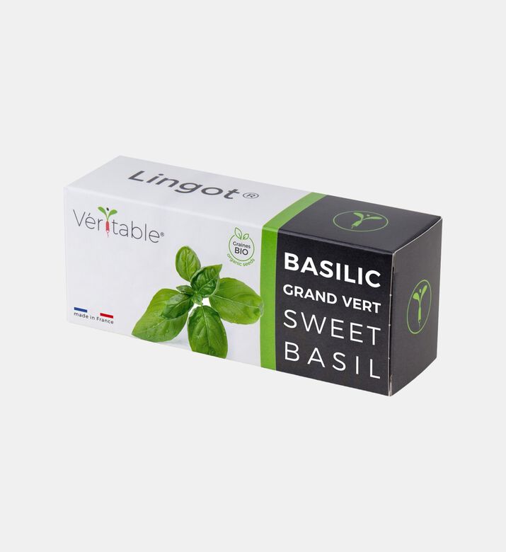 Sweet Basil Organic Essential Aromatic Herbs