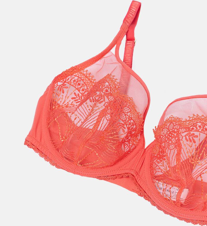 Plunge Embroidered Underwire Bra Plunge Embroidered Underwire Bra