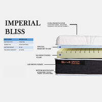 Imperial Bliss Posturepedic Mattress
