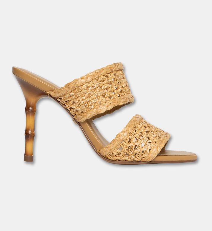 Arezzo Shoes Sabot, Packshot View