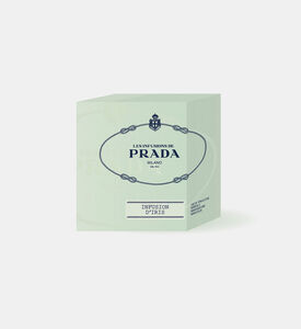 شمعة إنفوزيون ديريس معطرة