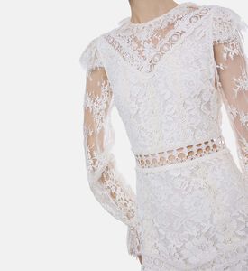 فستان دانتيل شفاف بأكمام طويلة وأساور مكشكشة