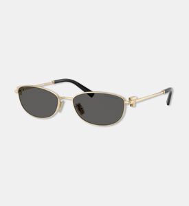 Tiffany & Co. Oval-shaped Metal Frame Sunglasses, Packshot View
