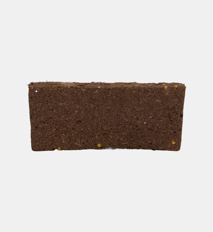 Phlox Flower Lingot