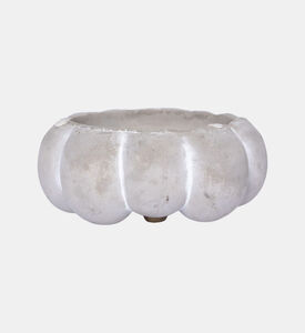 وعاء على شكل يقطين 8 سم