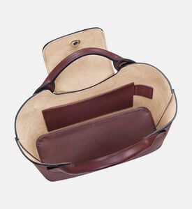 Longchamp Bag Epure, Brown, Model View