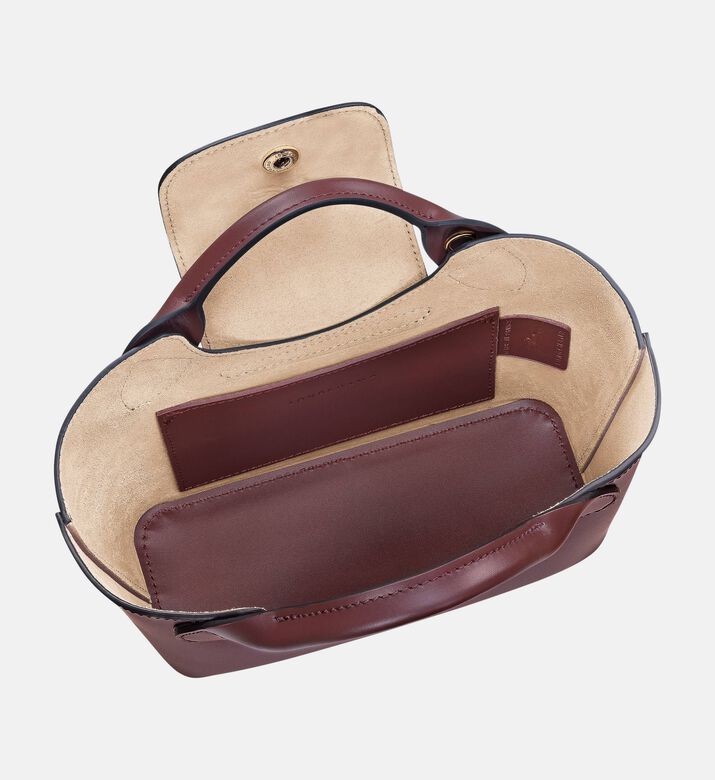 Longchamp Bag Epure, Brown, Model View