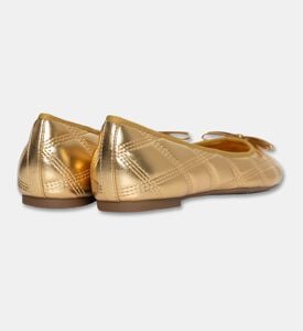 Arezzo Shoes Flat, Packshot View