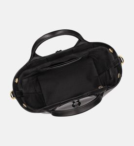 Longchamp Bag Roseau, Packshot View