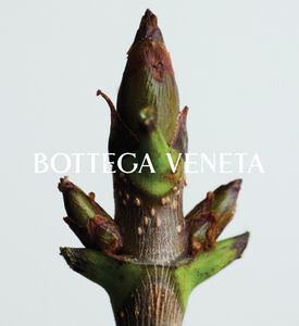 Bottega Venetta Edp Acqua Sale, Packshot View