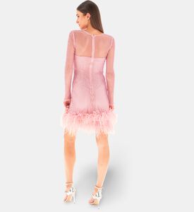 Savanna Feather-trimmed Crystal-embellished Mini Dress, Model View