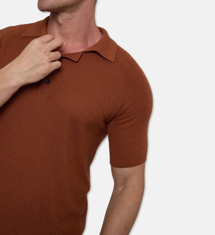 Pal Zileri Knit Spread-collar Polo, Model View