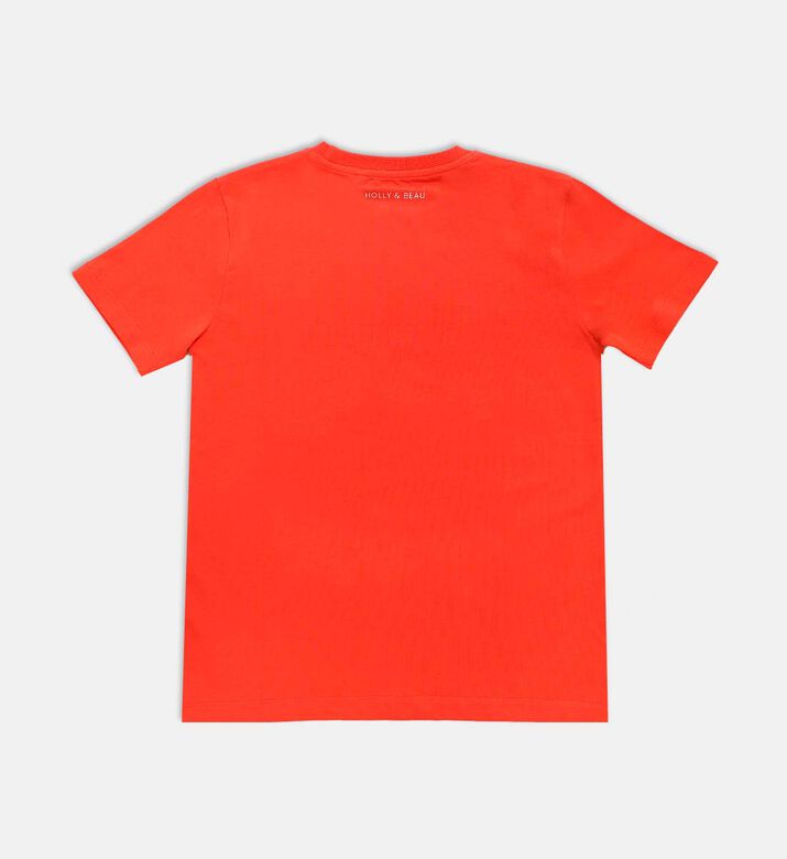 Holly and Beau Dinosaur Ts, Packshot View