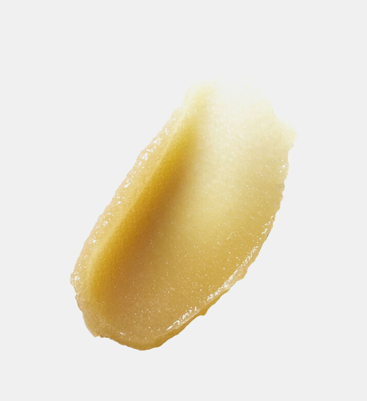 Renewal Oil Exfoliator Facial Scrub Renewal Oil Exfoliator Facial Scrub