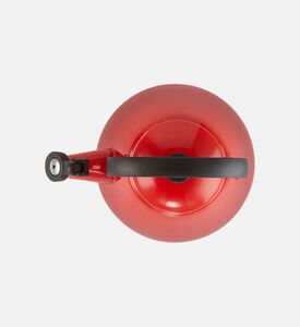 غلاية من فولاذ مقاوم للصدأ مطلية بمينا